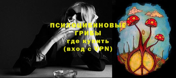 твердый Осташков