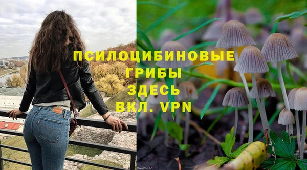 твердый Осташков