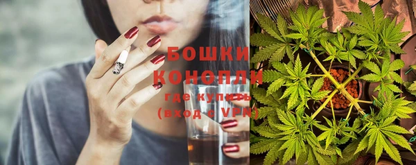 крисы Пестово