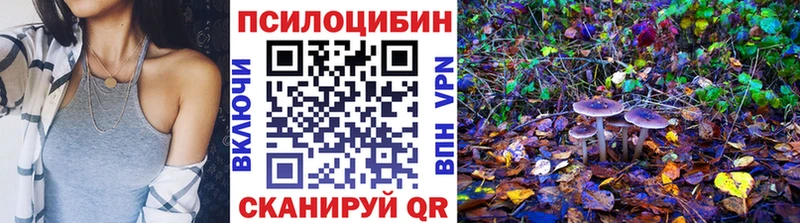 кракен онион  Лиски  Псилоцибиновые грибы Cubensis 