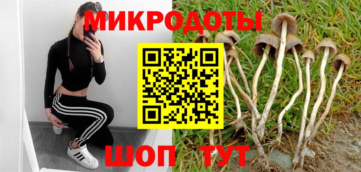 Псилоцибиновые грибы мухоморы Лиски