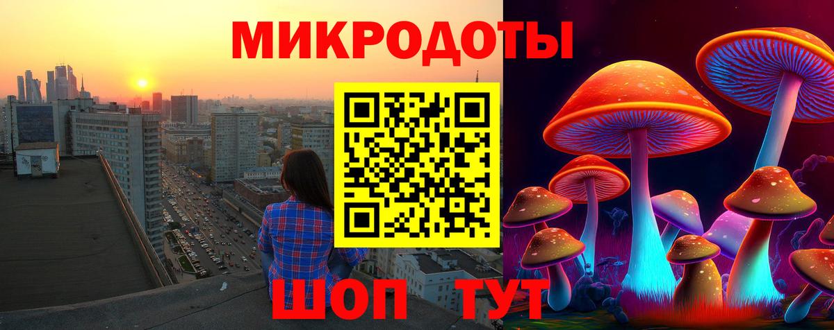 МЕФ Лиски